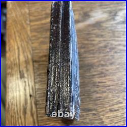 1/6 Plate Daguerreotype Clear Hand Colored Sisters Earrings Broach Gloves