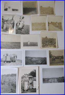 16 Original Cotton Farm Photos 1930's Flora Pocahontas Mississippi Sharecroppers