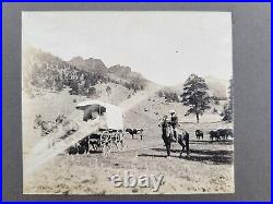 1890s Photos. Visitors Black Lady Wagon Store Mountain Views Colorado, California