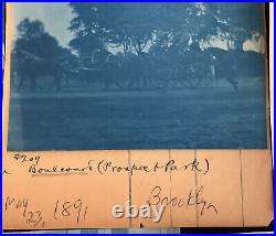 1891-92 VTG 17 Cyanotype Prospect Park Brooklyn NY Wheelchair Lady Kids Carriage