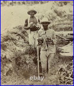 1899 AFRICAN AMERICAN Hansen & Finger CUBA Bones SKULLS Pile Cabinet Card PHOTO