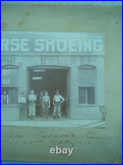 1900 KNOXVILLE TENNESSEE Cabinet Card HORSE SHOEING Wikoff Brothers Identified