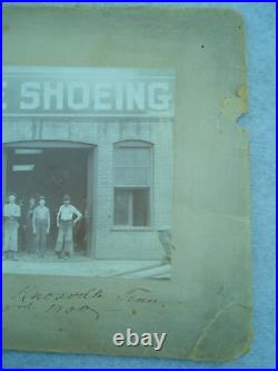 1900 KNOXVILLE TENNESSEE Cabinet Card HORSE SHOEING Wikoff Brothers Identified