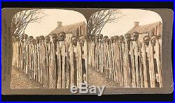 1901 Rare RACIST STEREOVIEW Black Americana, H. C. White, All Coons Look Alike