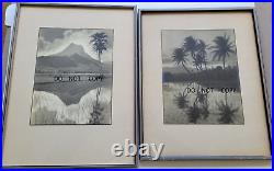 1910's Large Framed Photos. Beautiful Landscapes Rice Fields Near Moorea Tahiti