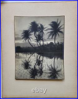 1910's Large Framed Photos. Beautiful Landscapes Rice Fields Near Moorea Tahiti