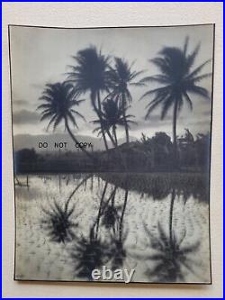 1910's Large Framed Photos. Beautiful Landscapes Rice Fields Near Moorea Tahiti