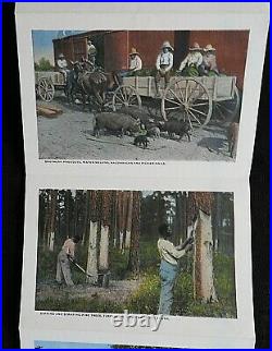 1921 The Land Of King Cotton Black Americana Postcard Souvenir Folder Rare