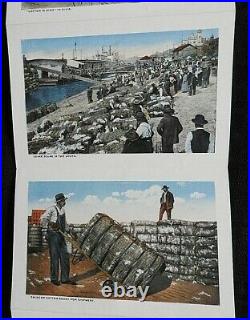 1921 The Land Of King Cotton Black Americana Postcard Souvenir Folder Rare