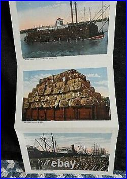 1921 The Land Of King Cotton Black Americana Postcard Souvenir Folder Rare