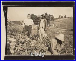 1940s Black Sharecroppers with White Foreman Tobacco Labor Snapshot Photo 1940s Black Sharecroppers with White Foreman Tobacco Labor Snapshot Photo