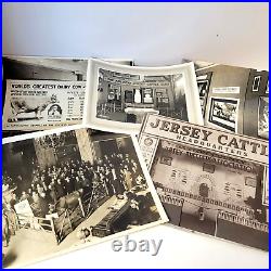 5 VTG American Jersey Cattle Club B&W Photo Pictures Cows & Exhibits Lot Farm AG