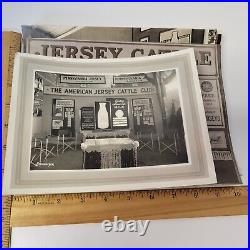 5 VTG American Jersey Cattle Club B&W Photo Pictures Cows & Exhibits Lot Farm AG