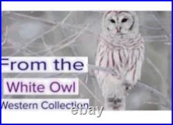 AUTHENTIC Young, Stoic Jesse James Outlaw Tintype Photo