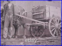 African American 1890 1900 Photograph Of Young Black Mine Worker Wagon Mule Team