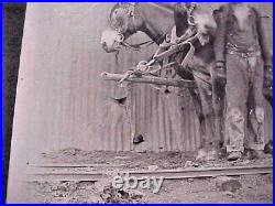 African American 1890 1900 Photograph Of Young Black Mine Worker Wagon Mule Team