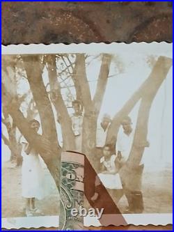 African American School Photos Colored Students AMAZING VIEW IN TREE