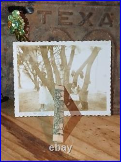 African American School Photos Colored Students AMAZING VIEW IN TREE African American School Photos Colored Students AMAZING VIEW IN TREE