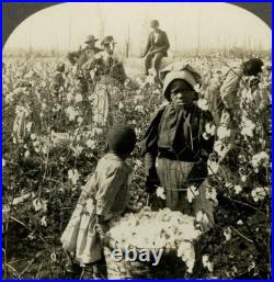 African American Sharecroppers 1890 Black Child Farmworkers Mississippi Photo