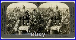 African American Sharecroppers 1890 Black Child Farmworkers Mississippi Photo