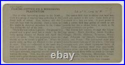 African American Sharecroppers 1890 Black Child Farmworkers Mississippi Photo