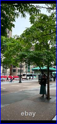 African-american Man & Child Sucking Thumb. 1870 J. F. Ryder Picturesque Africa