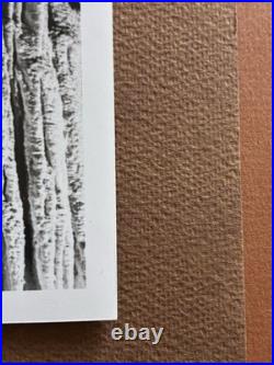 Ansel Adams King's Chamber, Carlsbad Caverns, New Mexico National Archives E