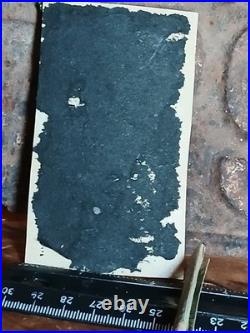 Antique African American COLORED FEMALES SHOWING OFF THERE HAIR