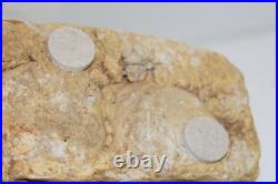 Antique Black Americana Folk Art Statue Sculpture Homemade Clay Male Figure