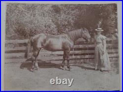 Antique Cabinet Photo Lot Cowboy/COWGIRL Aspen Ashcroft COLORADO Pitkin County