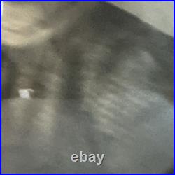 Antique Photo 1880s Black Americana Original Oval Convex Portrait Of Lady