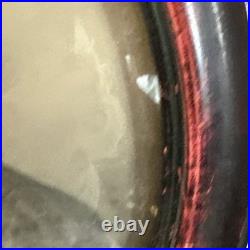 Antique Photo 1880s Black Americana Original Oval Convex Portrait Of Lady