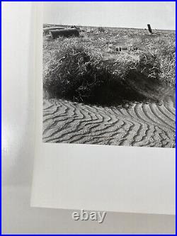 Arthur Rothstein Plow That Broke The Plains 1937 Photo Print Museum Film Stills