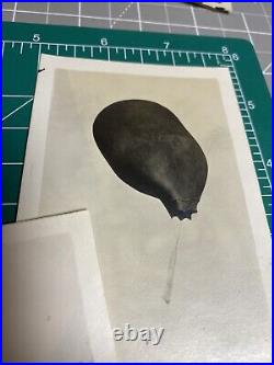 Black Balloon Launch Motorcycle Souvenir Snapshots Early 1900's Antique Photos