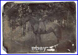 Black Boy On Bell The Trotter Our Race Horse Large African American Tintype