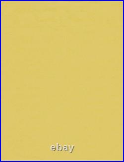 Black Nationalism1979 African American Separatist Organization FlyerR. N. A