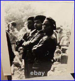 Black Panther Vintage Re-print Black And White Photograph 1965