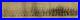 Buffalo Soldiers 1917 African American Black Regiment 367th Panoramic Photo Army