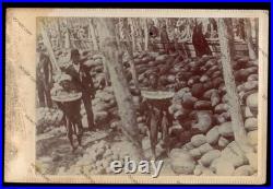 C1895 Watermelon Day Rocky Ford Colorado CO Black Americana African Cabinet Card
