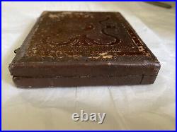 Daguerreotype Charming Clutching Children, Wary Toddler, Tinted, Lyre Case BIN