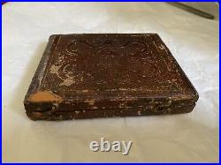 Daguerreotype Charming Clutching Children, Wary Toddler, Tinted, Lyre Case BIN