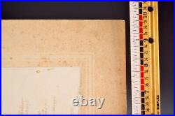 Deering Tractor Photo c1900 Grain Reaper Farmer 11.75x 10 Cabinet Card