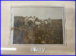 Framed Photo African American Black Men Women Kids Sharecroppers Picking Cotton