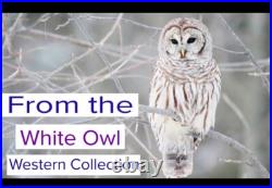 Genuine Billy The Kid & Regulator Gang Member Billy Wilson Tintype Photo Genuine Billy The Kid & Regulator Gang Member Billy Wilson Tintype Photo