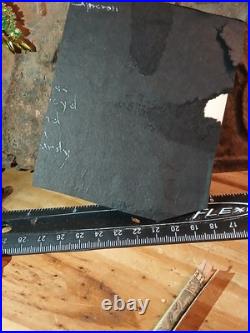 Hbcu College Rare Virginia State College Students ON CAMPUS