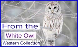 Jesse James Real Father, Reverend Robert Salle James Tintype Photo. SUPER RARE