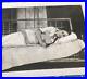 Ladies Portrait Lounging snap shot Early 1900's Antique Photo 3 by 4 in