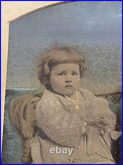 Large Antique Hand Tinted Photograph Portrait Little Girl & Dog with Period Frame