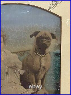 Large Antique Hand Tinted Photograph Portrait Little Girl & Dog with Period Frame