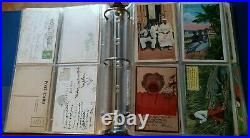 Large Vintage Black Americana Postcards Collection / Huge Lot In Album